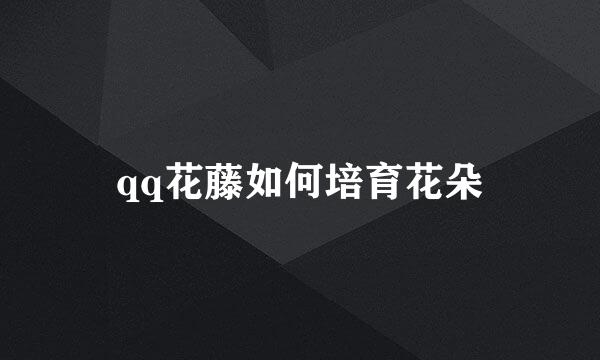 qq花藤如何培育花朵