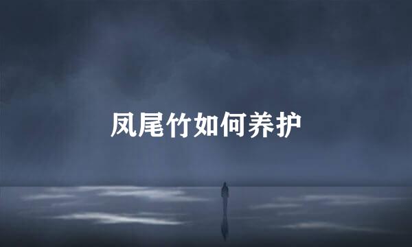 凤尾竹如何养护