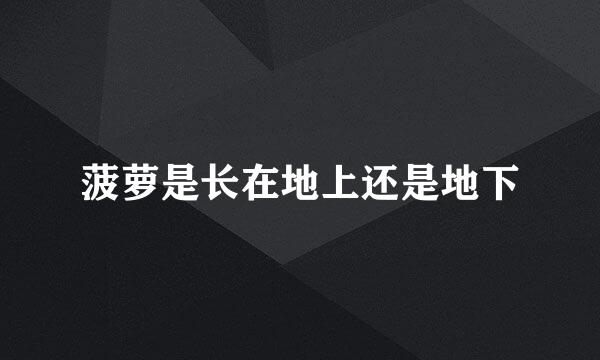 菠萝是长在地上还是地下