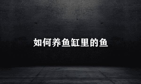 如何养鱼缸里的鱼