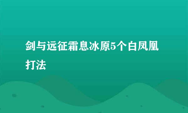 剑与远征霜息冰原5个白凤凰打法