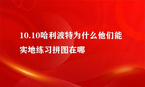 10.10哈利波特为什么他们能实地练习拼图在哪