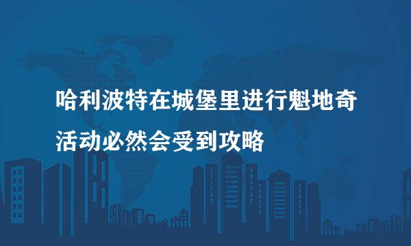 哈利波特在城堡里进行魁地奇活动必然会受到攻略