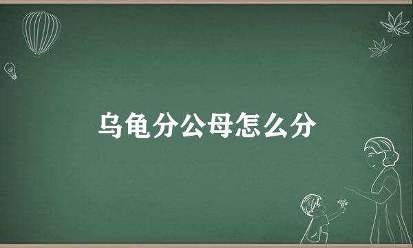 乌龟分公母怎么分