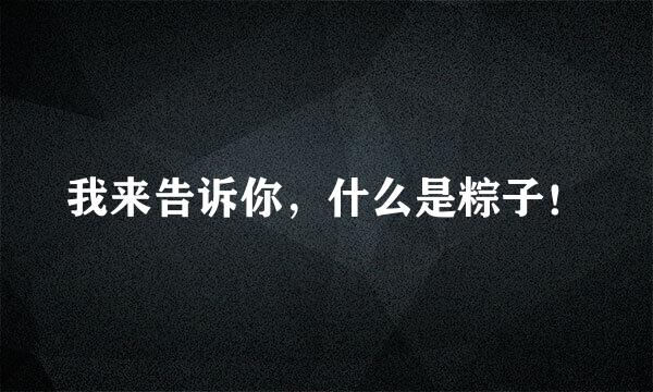我来告诉你，什么是粽子！