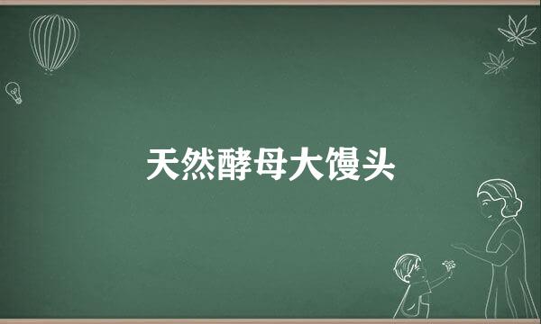 天然酵母大馒头