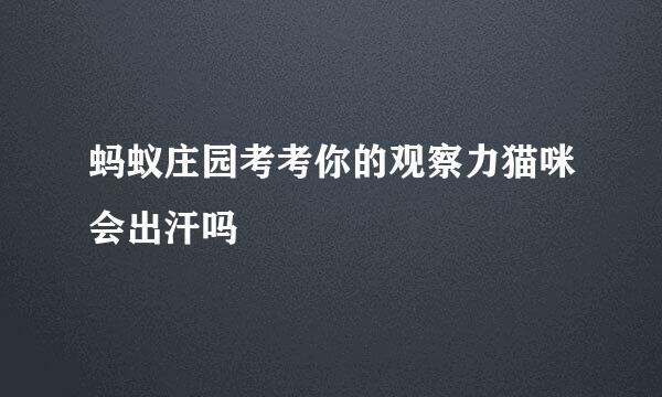 蚂蚁庄园考考你的观察力猫咪会出汗吗