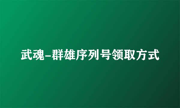 武魂-群雄序列号领取方式