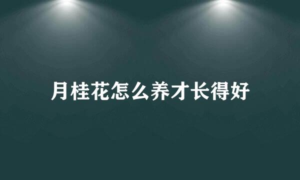 月桂花怎么养才长得好