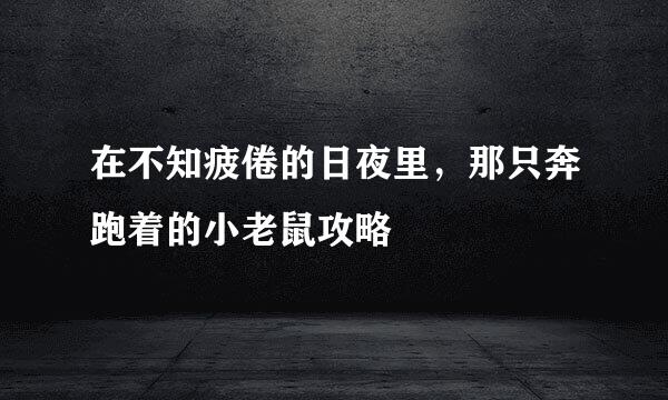 在不知疲倦的日夜里，那只奔跑着的小老鼠攻略
