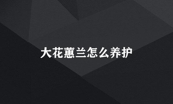 大花蕙兰怎么养护