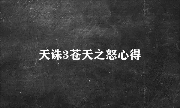 天诛3苍天之怒心得