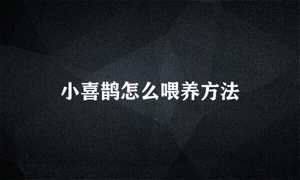 小喜鹊怎么喂养方法