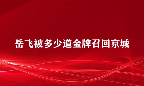 岳飞被多少道金牌召回京城