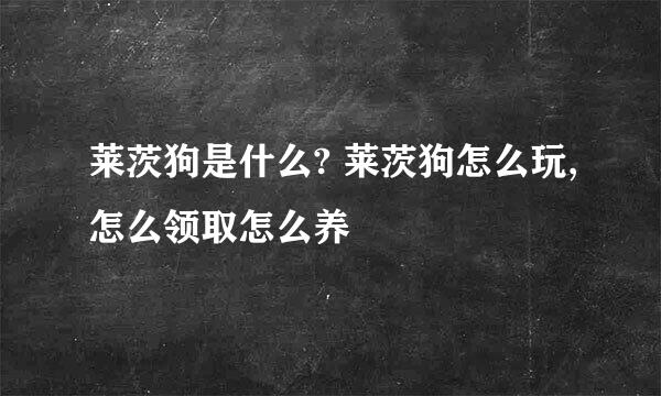 莱茨狗是什么? 莱茨狗怎么玩,怎么领取怎么养