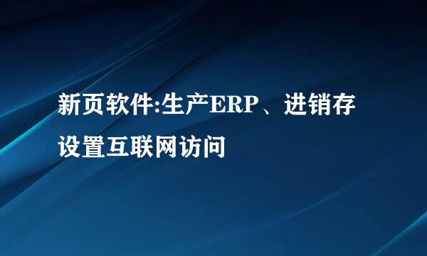 新页软件:生产ERP、进销存 设置互联网访问
