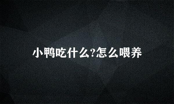 小鸭吃什么?怎么喂养