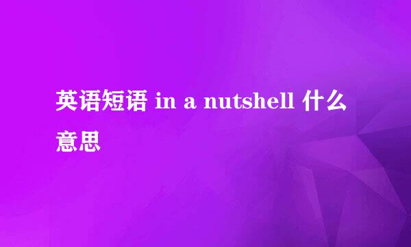 英语短语 in a nutshell 什么意思