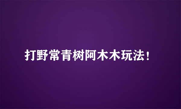 打野常青树阿木木玩法！