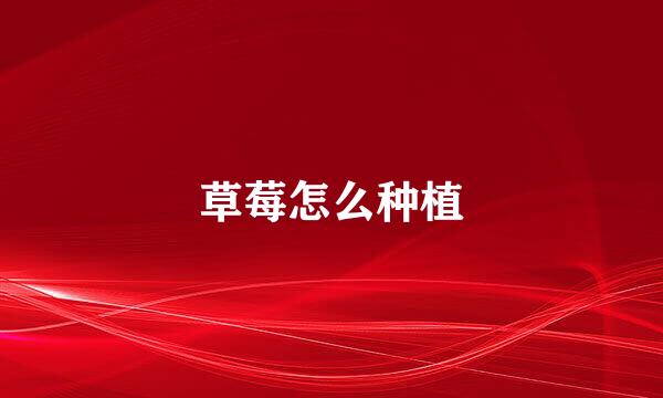 草莓怎么种植