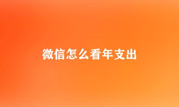 微信怎么看年支出
