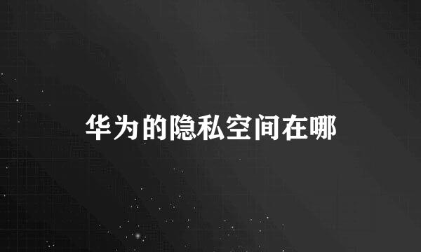 华为的隐私空间在哪