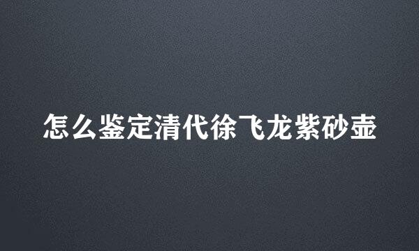 怎么鉴定清代徐飞龙紫砂壶