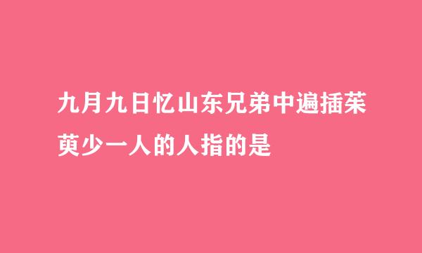 九月九日忆山东兄弟中遍插茱萸少一人的人指的是