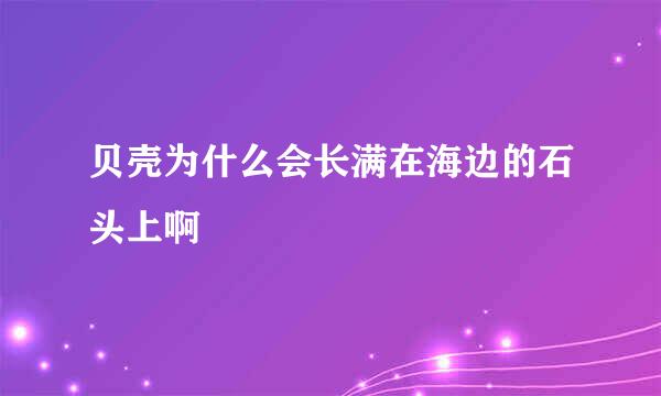 贝壳为什么会长满在海边的石头上啊