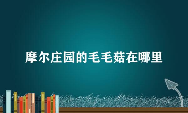 摩尔庄园的毛毛菇在哪里
