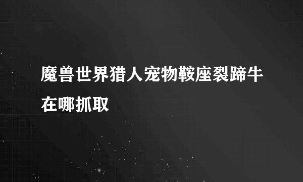 魔兽世界猎人宠物鞍座裂蹄牛在哪抓取