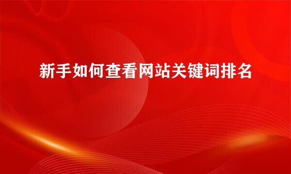 新手如何查看网站关键词排名