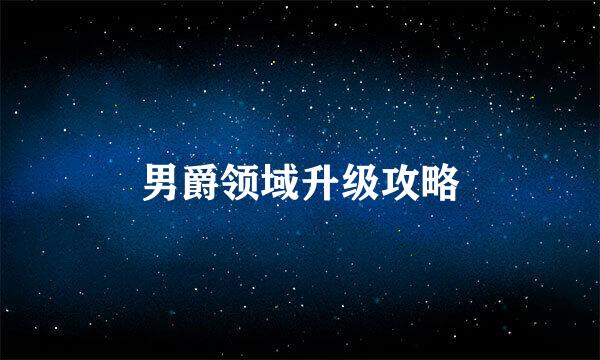 男爵领域升级攻略