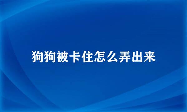 狗狗被卡住怎么弄出来