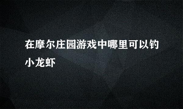 在摩尔庄园游戏中哪里可以钓小龙虾