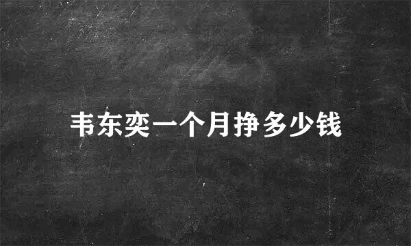 韦东奕一个月挣多少钱