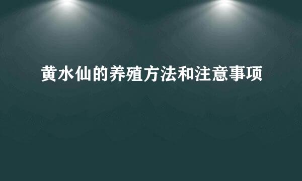 黄水仙的养殖方法和注意事项