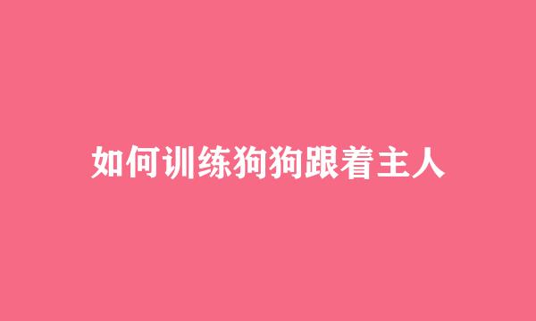 如何训练狗狗跟着主人