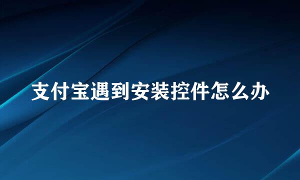 支付宝遇到安装控件怎么办