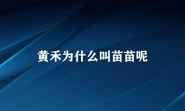 黄禾为什么叫苗苗呢