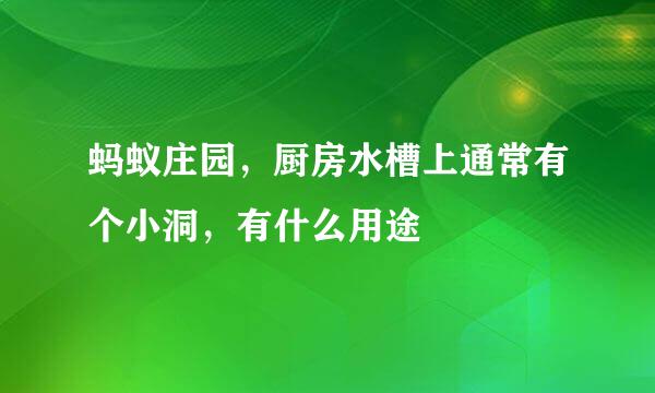 蚂蚁庄园，厨房水槽上通常有个小洞，有什么用途