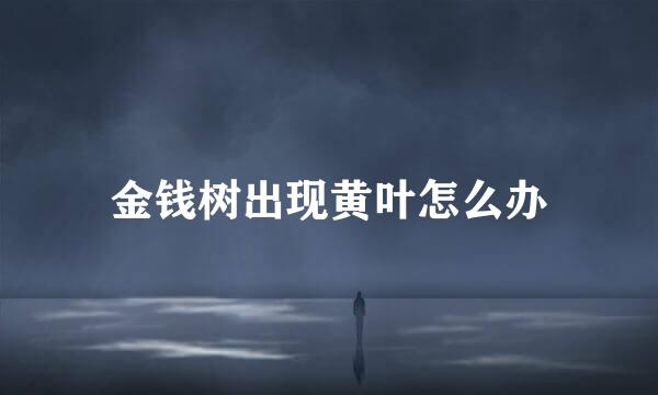 金钱树出现黄叶怎么办