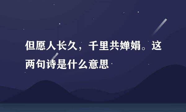 但愿人长久，千里共婵娟。这两句诗是什么意思