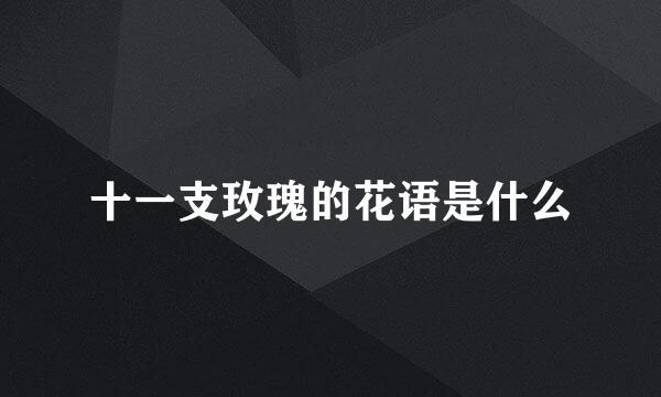 十一支玫瑰的花语是什么