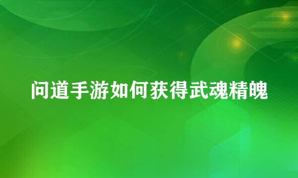 问道手游如何获得武魂精魄