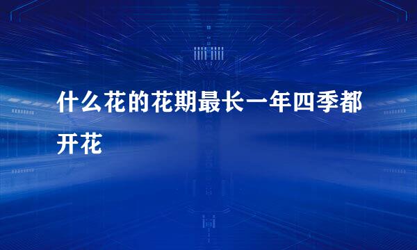 什么花的花期最长一年四季都开花