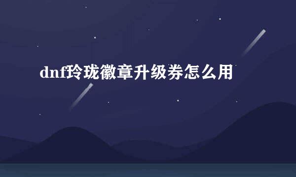 dnf玲珑徽章升级券怎么用