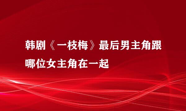 韩剧《一枝梅》最后男主角跟哪位女主角在一起