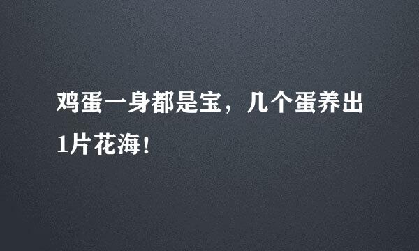 鸡蛋一身都是宝，几个蛋养出1片花海！