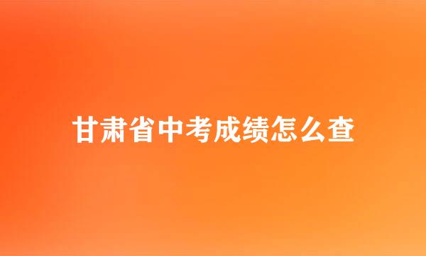 甘肃省中考成绩怎么查